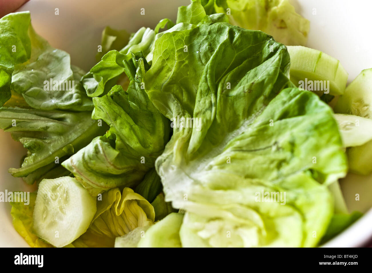 La lattuga e insalata di cetrioli Foto Stock