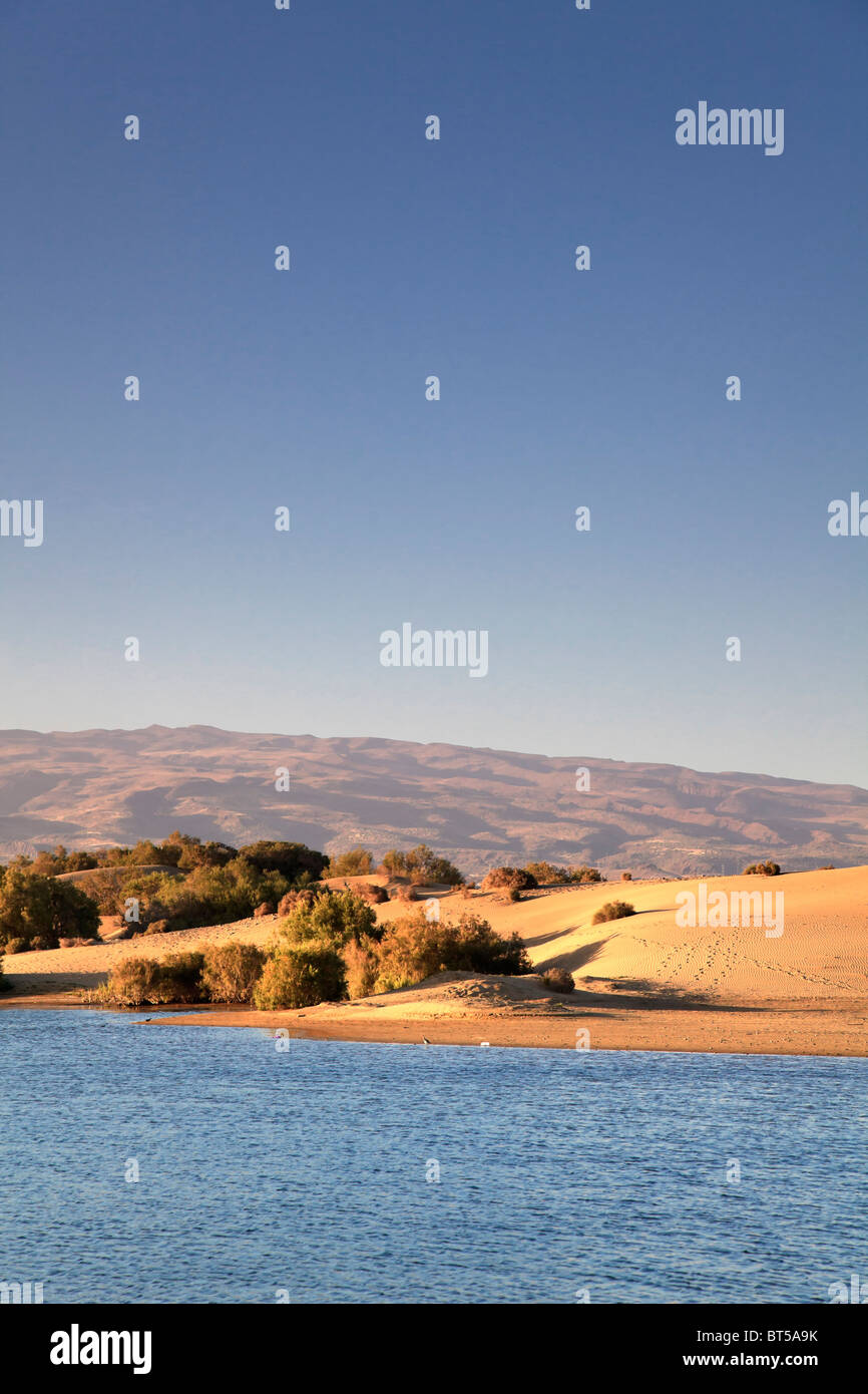 Isole Canarie, Gran Canaria, Playa del Ingles, Maspalomas dune di sabbia del Parco Nazionale Foto Stock