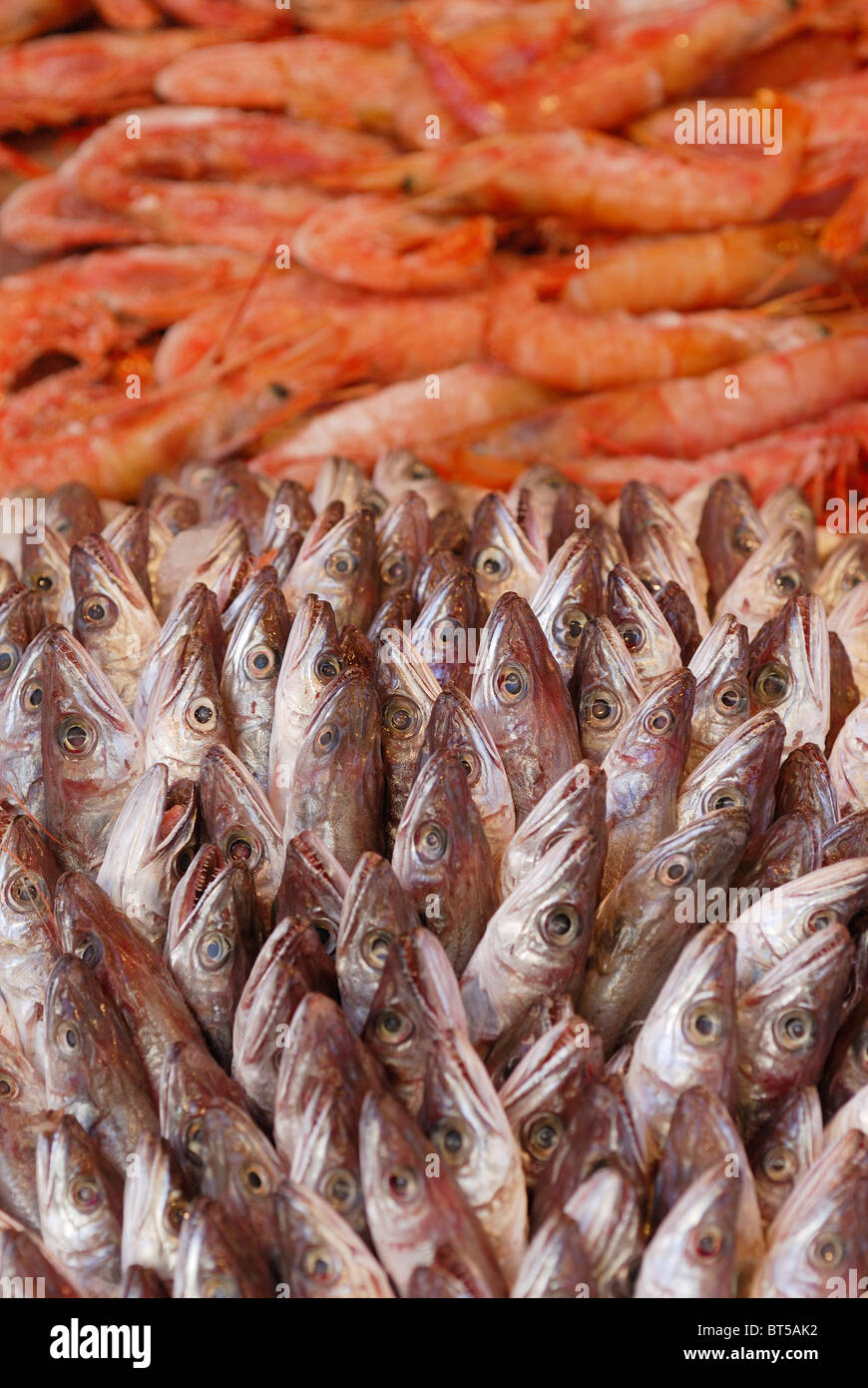 Siracusa. Sicilia. L'Italia. Visualizzazione di piccoli pesci e gamberetti al mercato del pesce su Ortigia. Foto Stock