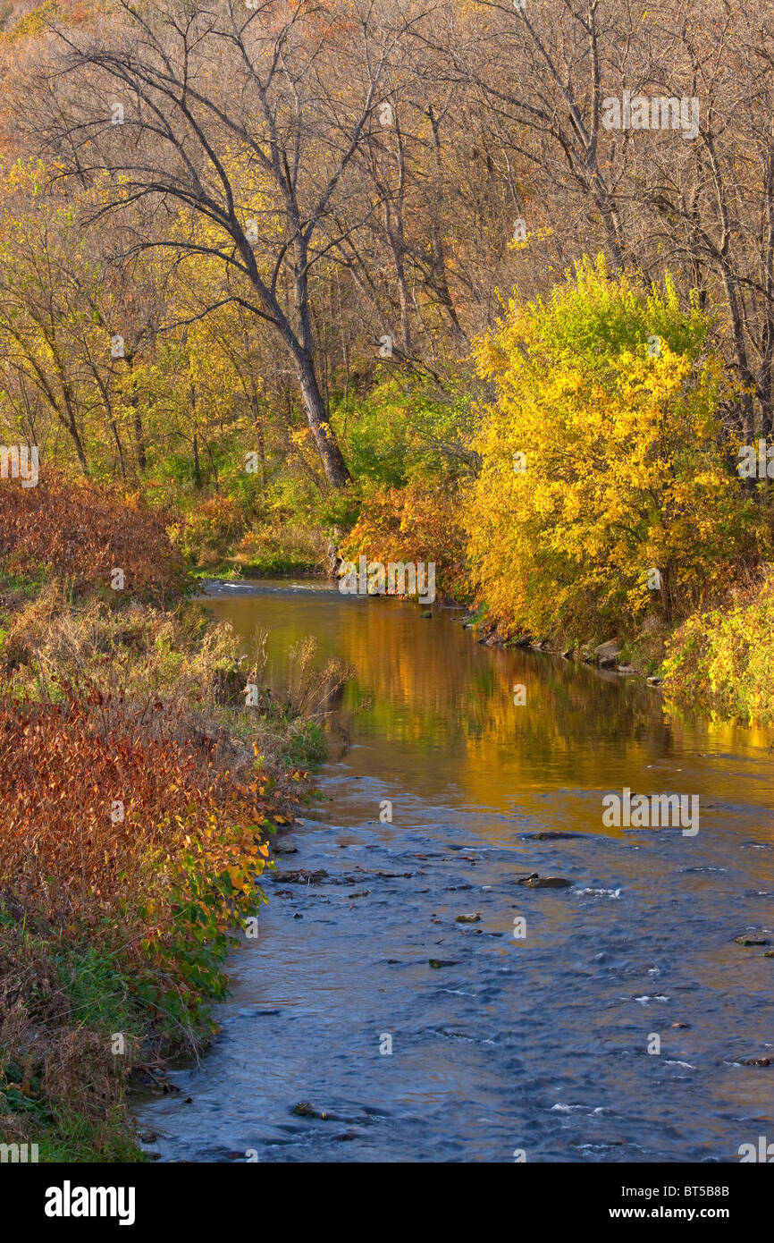 Big Paint Creek, il Fiume Giallo e la foresta di stato, lungo la zona Driftless Scenic Byway, Allamakee County, Iowa Foto Stock
