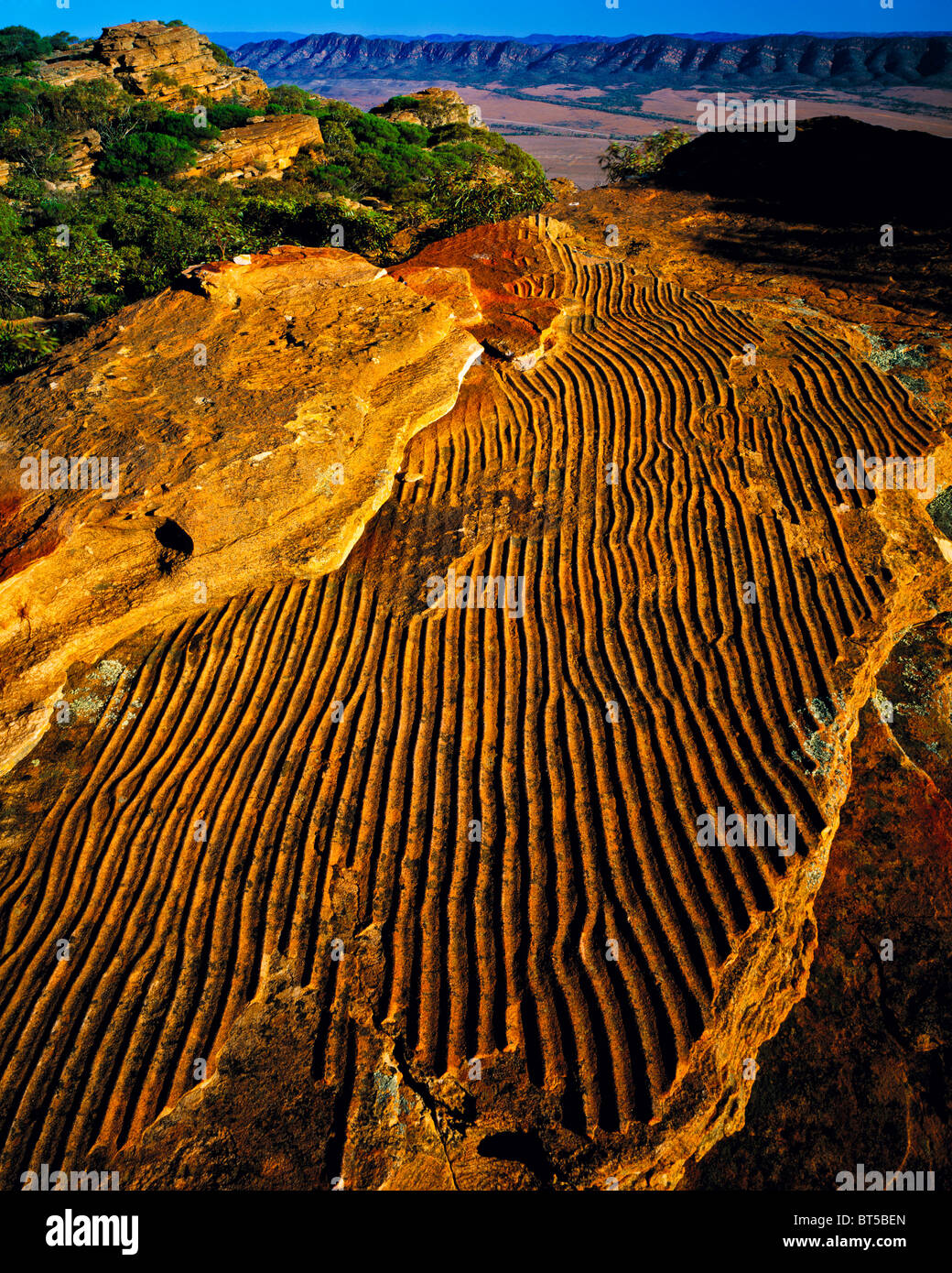 'Ripple Rock' Pattern in arenaria, Flinders Ranges National Park, Sud Australia Foto Stock