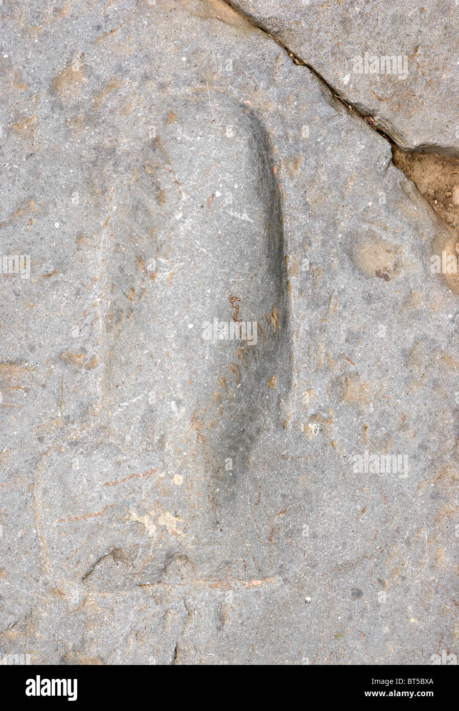 Rocca di Papa, Italia, simbolo fallico bassorilievo sulla via sacra Foto Stock