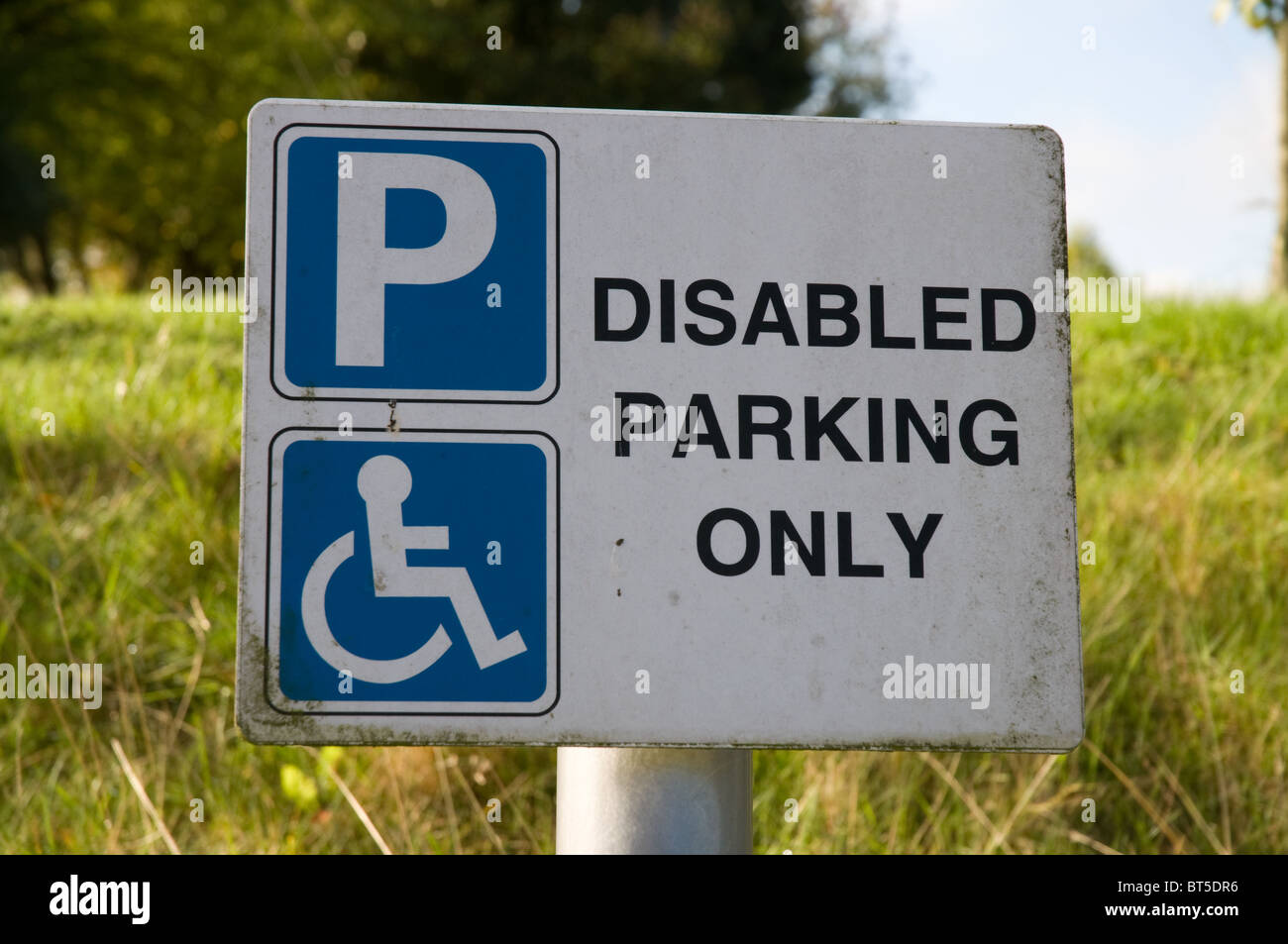 Tbuymax Porta Badge Per Parcheggio Disabili - Supporto Trasparente In Plastica, 2 Pezzi, 27x12,7cm, Per Specchietto Auto - 2