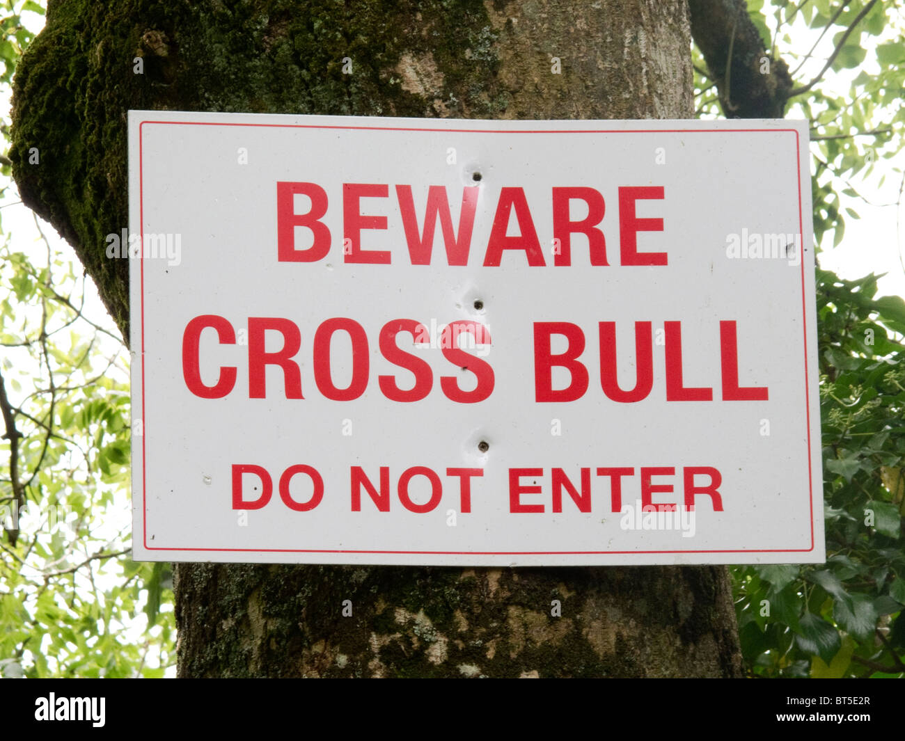 Divertente segno di avvertimento, guardatevi Cross Bull, Irlanda Foto Stock