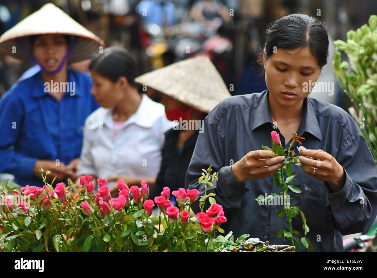 Ragazza rose di vendita in un mercato ad Hanoi, Vietnam Foto Stock