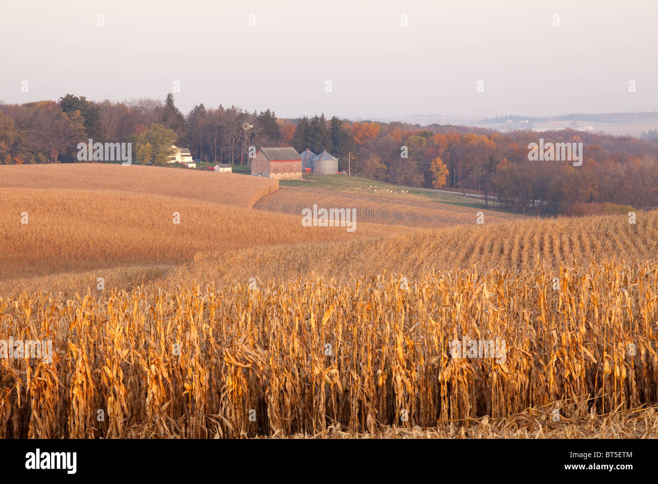 Paesaggio di rotolamento lungo il fiume Bluffs Scenic Byway, Clayton County, Iowa Foto Stock