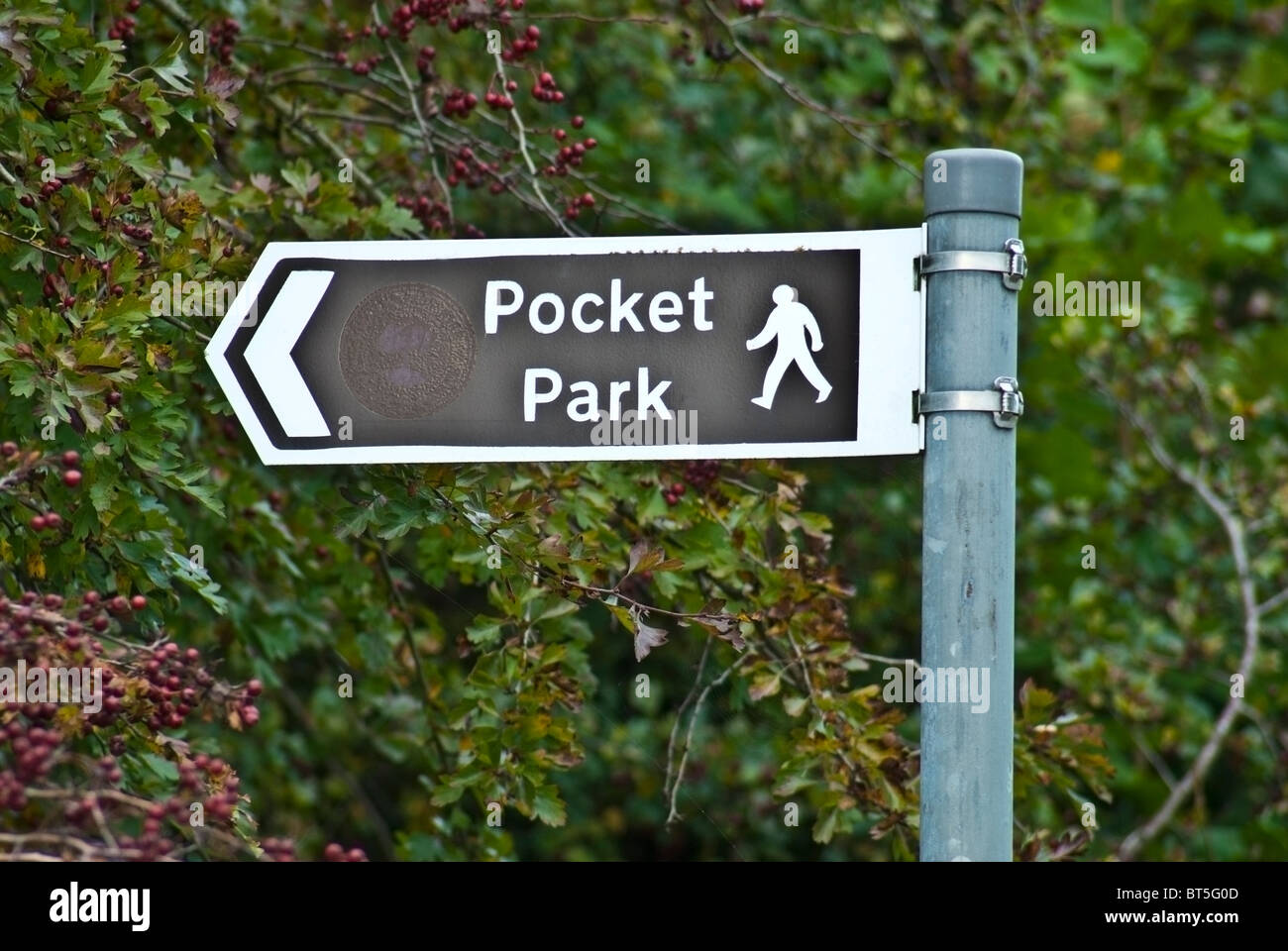 Parco di tasca Foto Stock