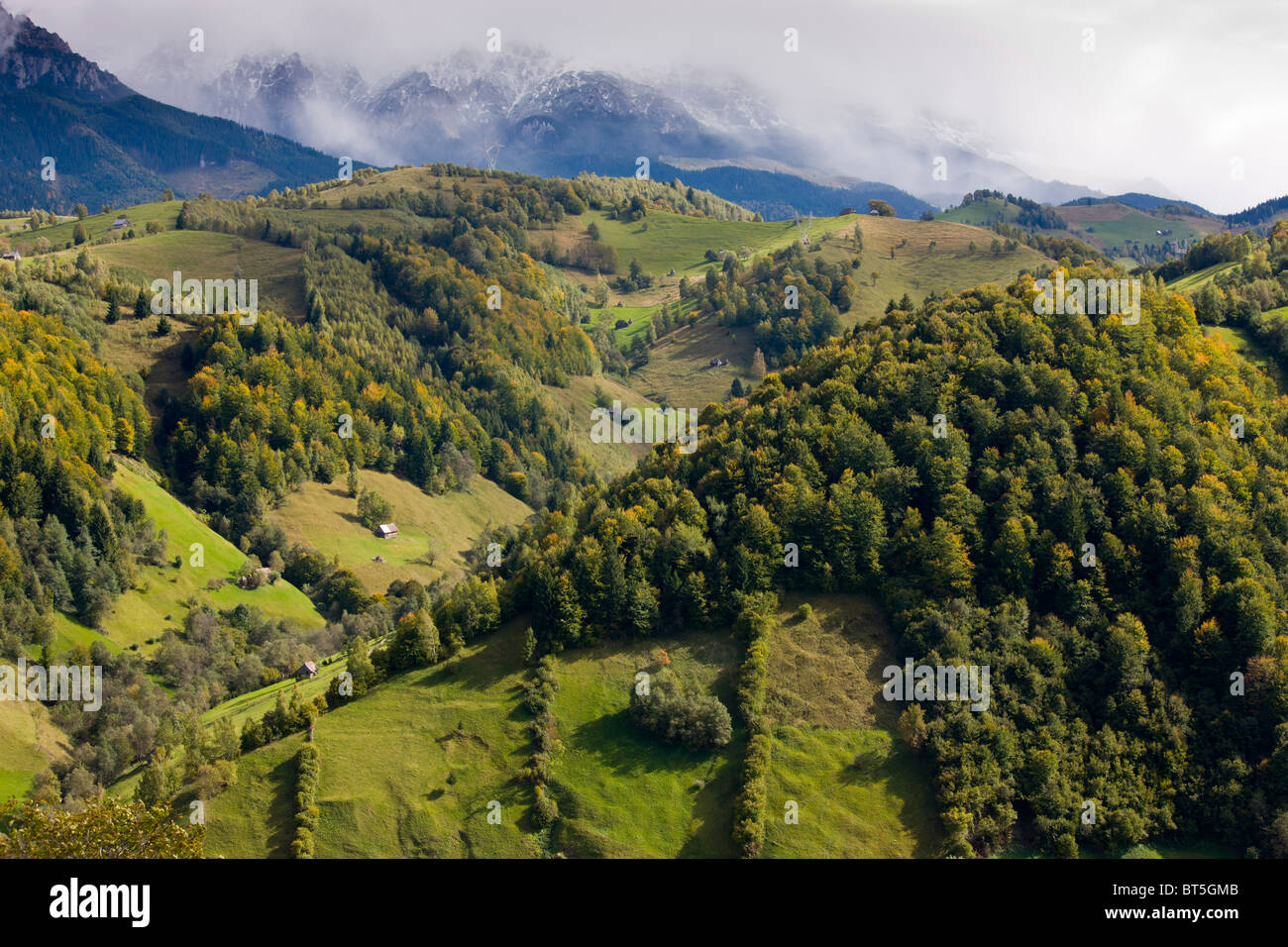 Il Leaota Montagne (parte dei Carpazi Meridionali) a sud di semola di grano duro con la prima neve dell'autunno. La Romania Foto Stock