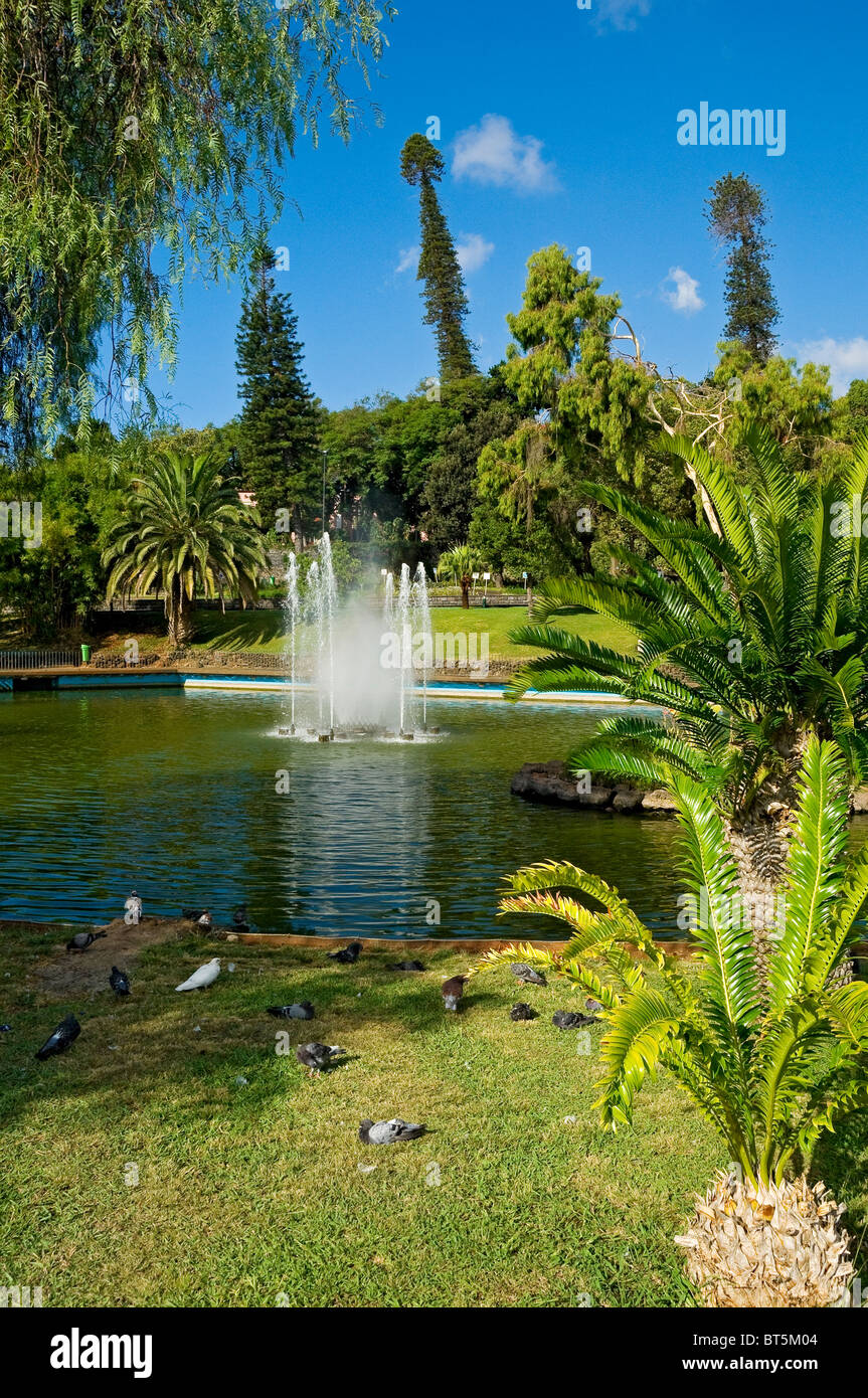 Parque de Santa Catarina parco pubblico e giardini Funchal Madeira Portogallo EU Europa Foto Stock