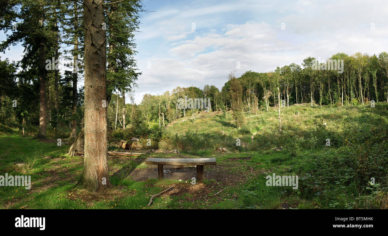 Arger Fen, Bure, Suffolk. Un sito di particolare interesse scientifico, essendo una sezione di conserve di antichi boschi. Foto Stock