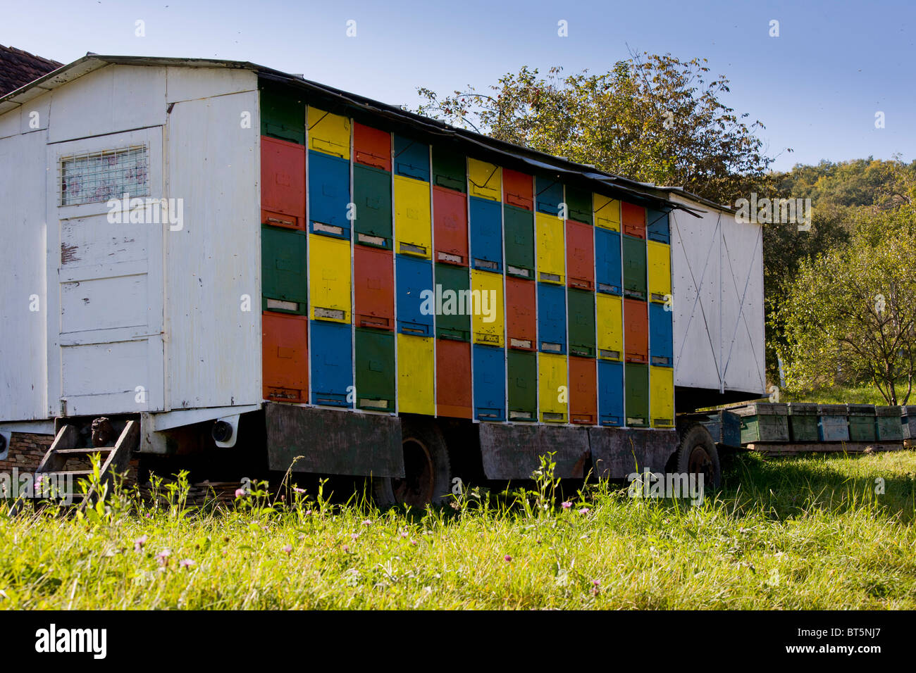 Ape Mobile- alveari sul rimorchio nel vecchio villaggio sassone di Crit, Transilvania, Romania Foto Stock