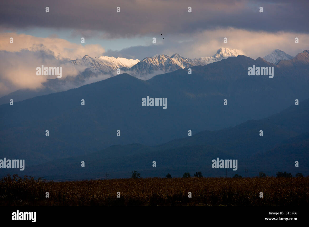 Vista serale di alta montagna Fagaras (Carpazi Meridionali) da nord, intorno al picco Moldoveanu (2544 metri), Romania Foto Stock
