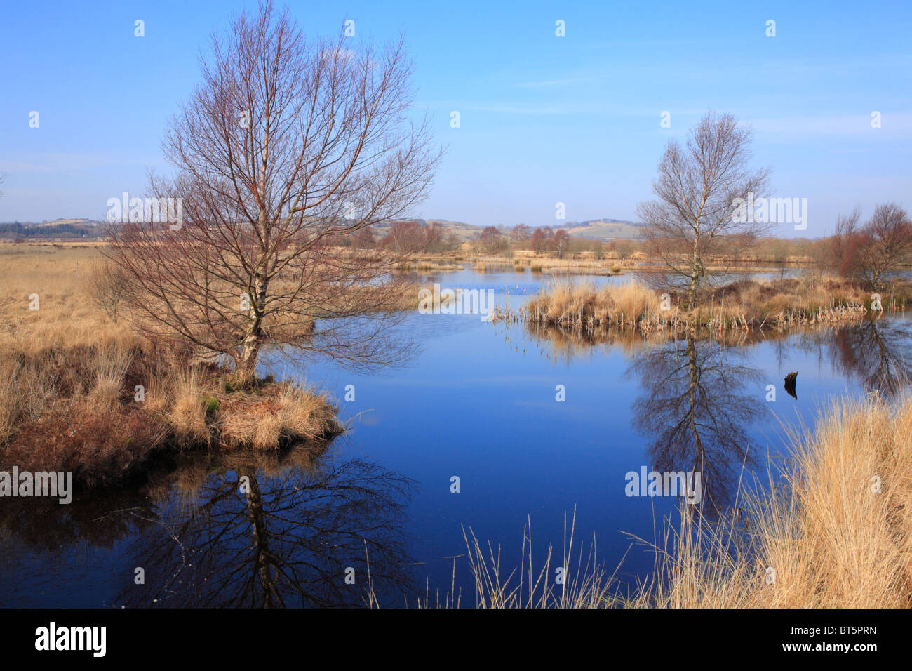 Habitat. Cors Caron sollevato bog in inverno. Ceredigion, Galles. Foto Stock