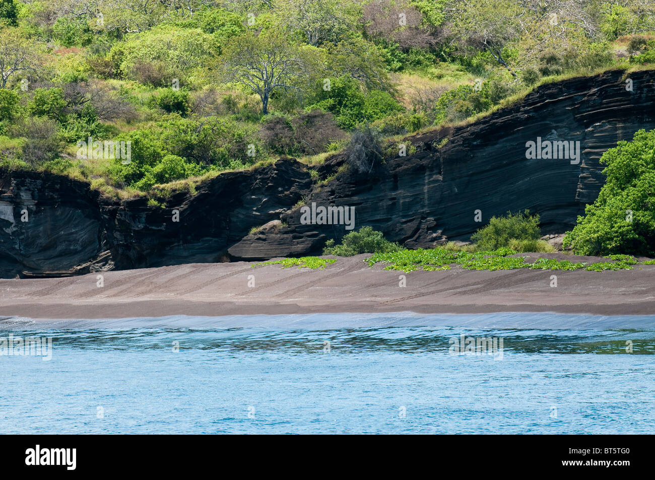 Isole Galapagos, Ecuador. Tracce di tartarughe marine sulla spiaggia di sabbia, Port Egas (James Bay) Isla Santiago (Santiago Island). Foto Stock