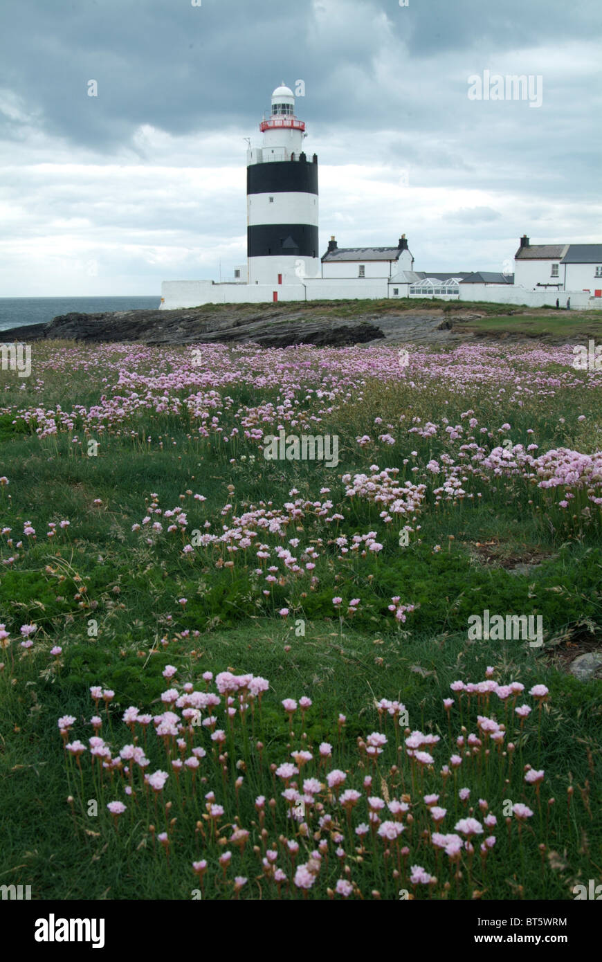 Hook Head Lighthouse County Wexford in Irlanda eire architettura, nero, blu, edificio, instabile, costa, freddo, County, Eire, europa Foto Stock