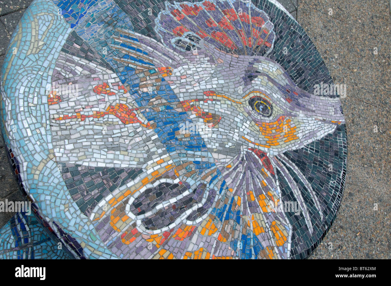 Pesce di mare vita marina mosaico di arte pubblica craft navigare navigare texture di onde marine acqua blu Australia emisfero sud Aussi Foto Stock