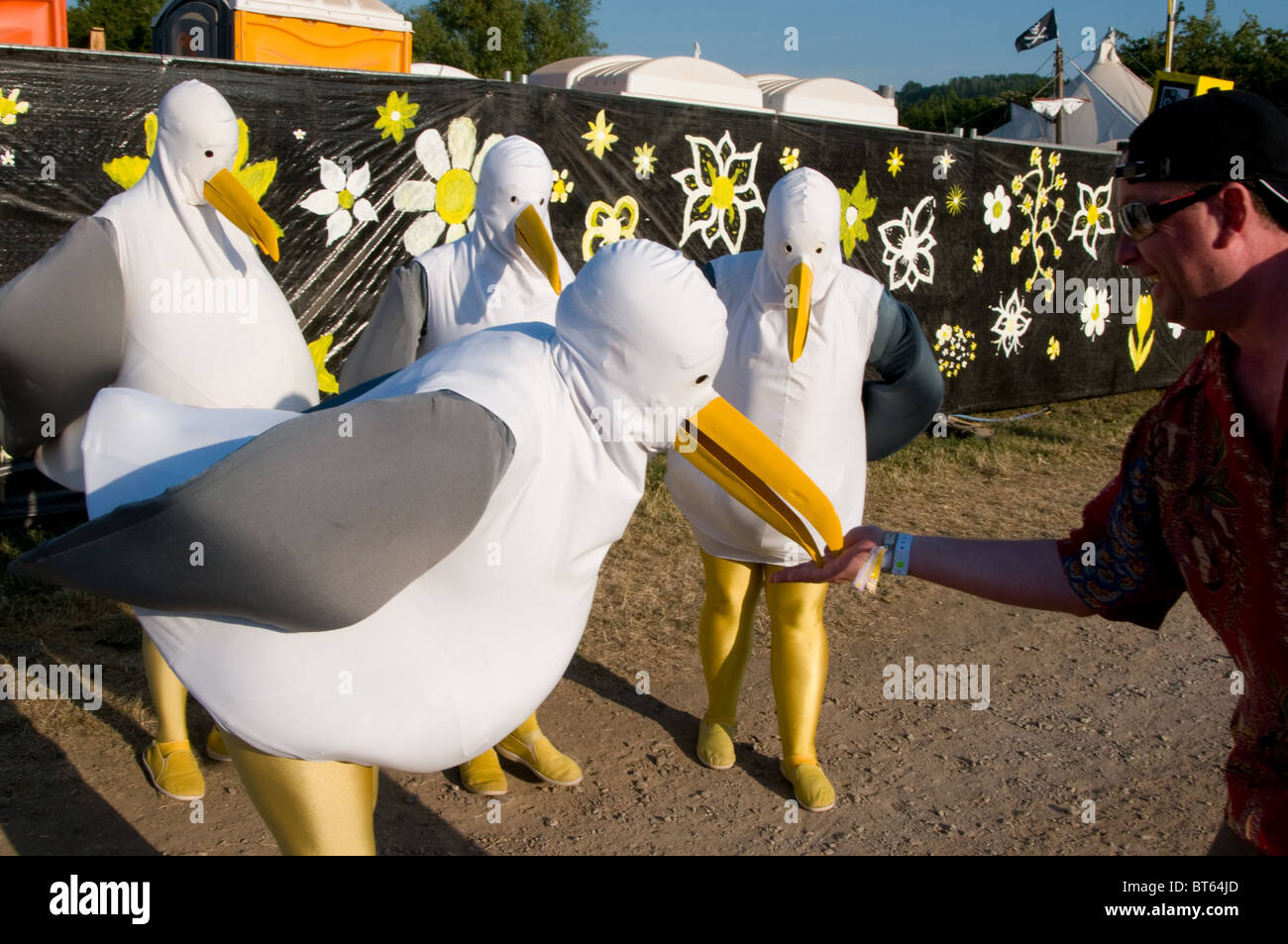 Seagull costume immagini e fotografie stock ad alta risoluzione - Alamy