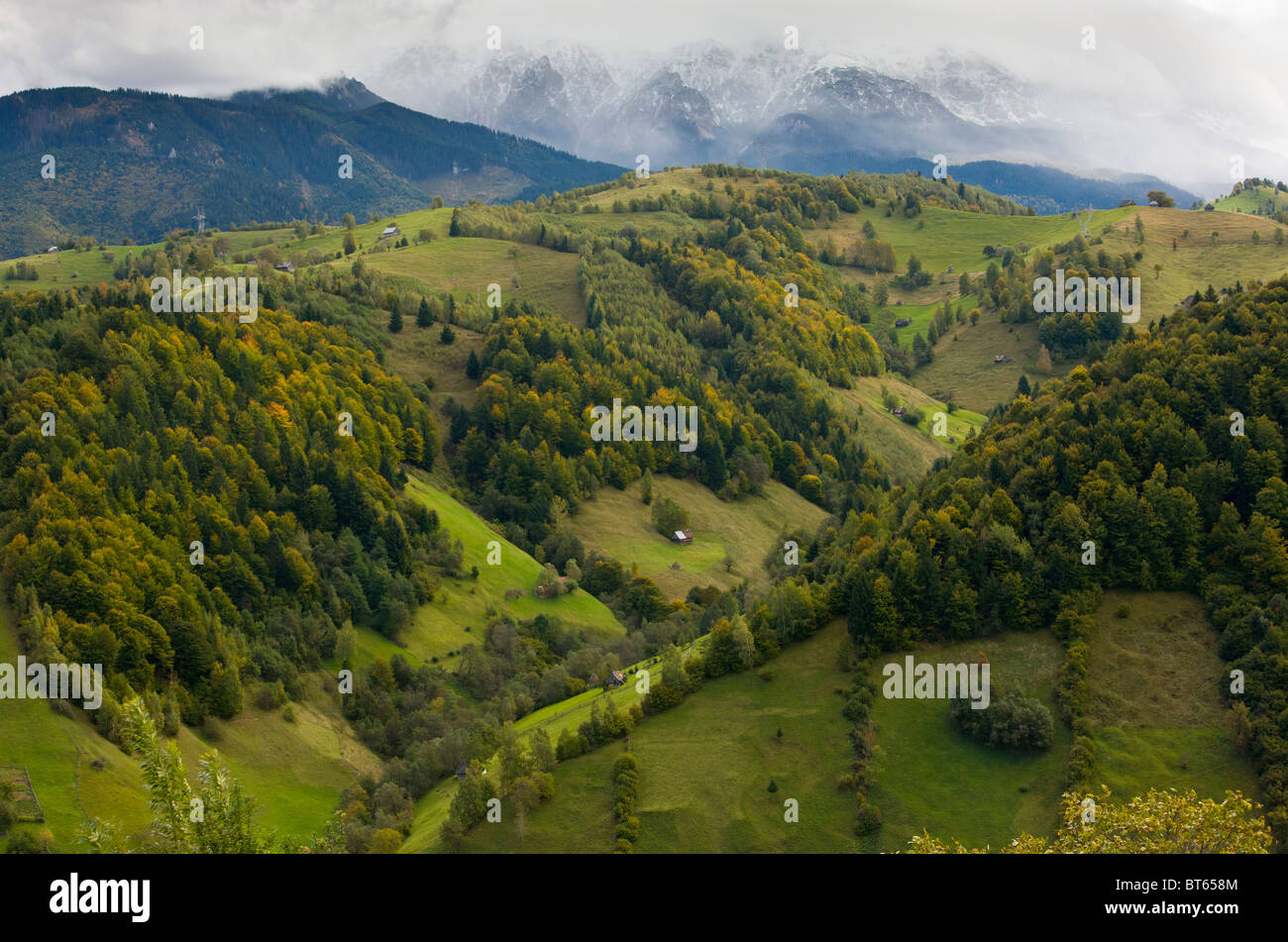Il Leaota Montagne (parte dei Carpazi Meridionali) a sud di semola di grano duro con la prima neve dell'autunno. La Romania Foto Stock