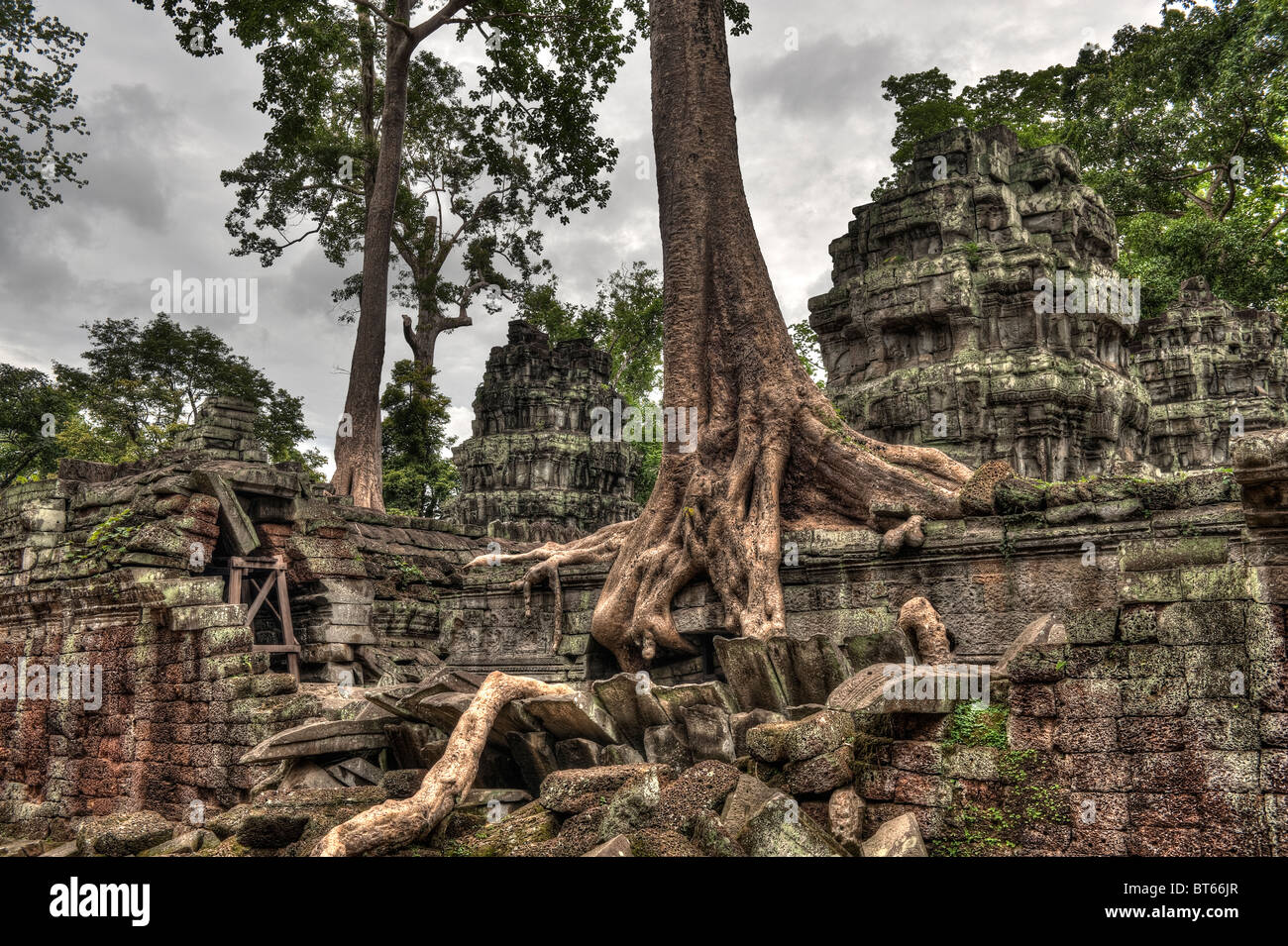 Alberi che crescono sulle rovine della Ta Prohm tempio di Angkor Wat Cambogia. Foto Stock