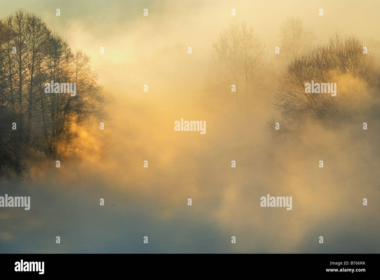 Gelido inverno mattina Foto Stock