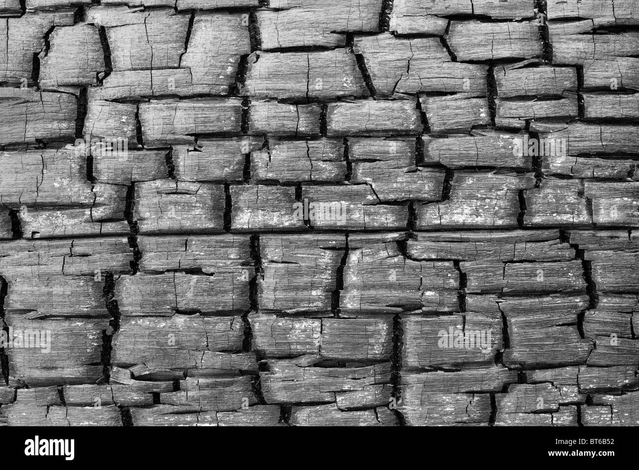 La superficie nera del carbonizzato legno incrinato Foto Stock