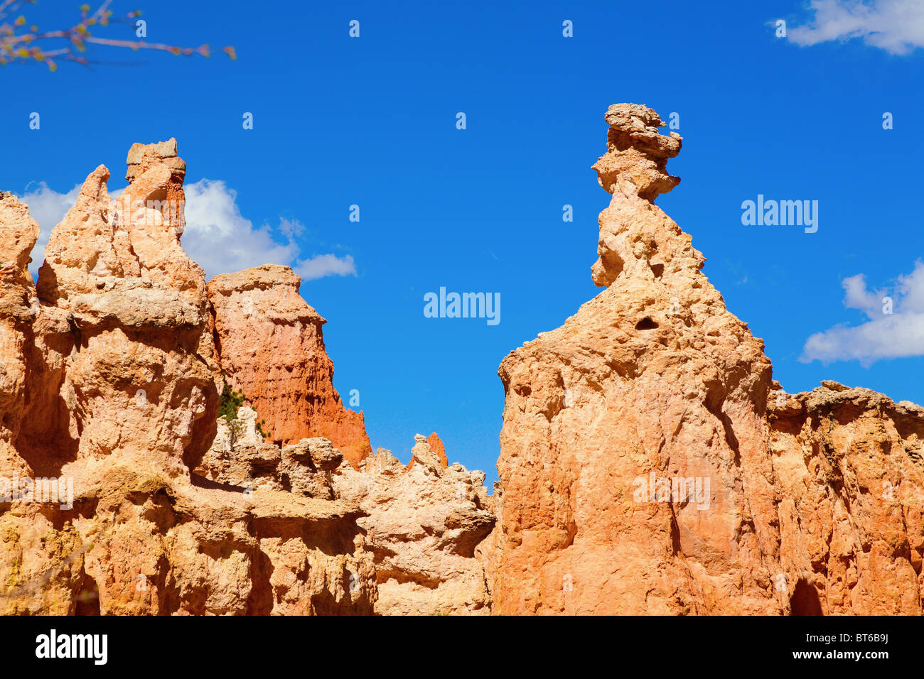 Le formazioni rocciose a Bryce Canyon dello Utah Foto Stock