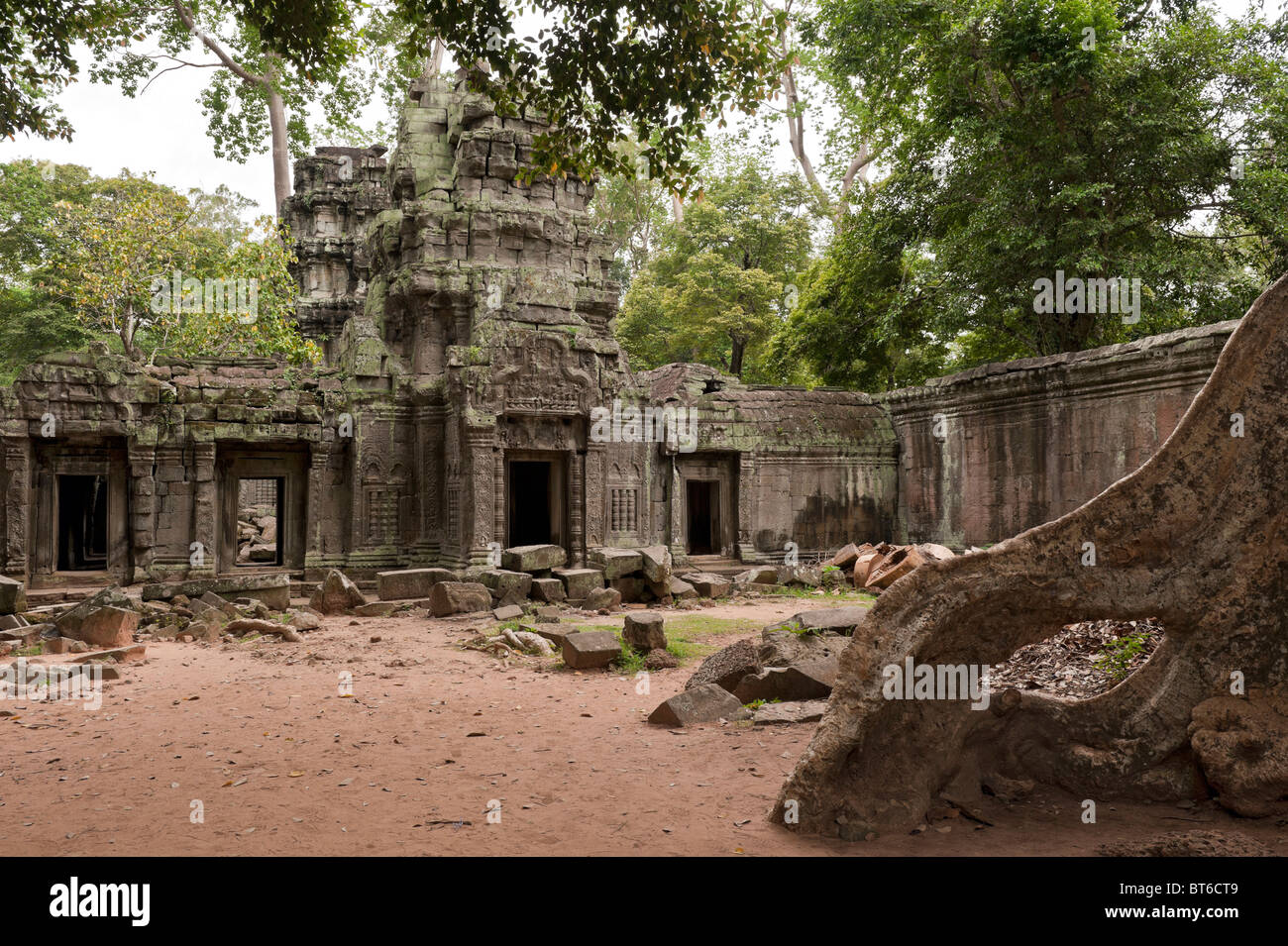 Ta Prohm tempio di Angkor Wat Cambogia Foto Stock