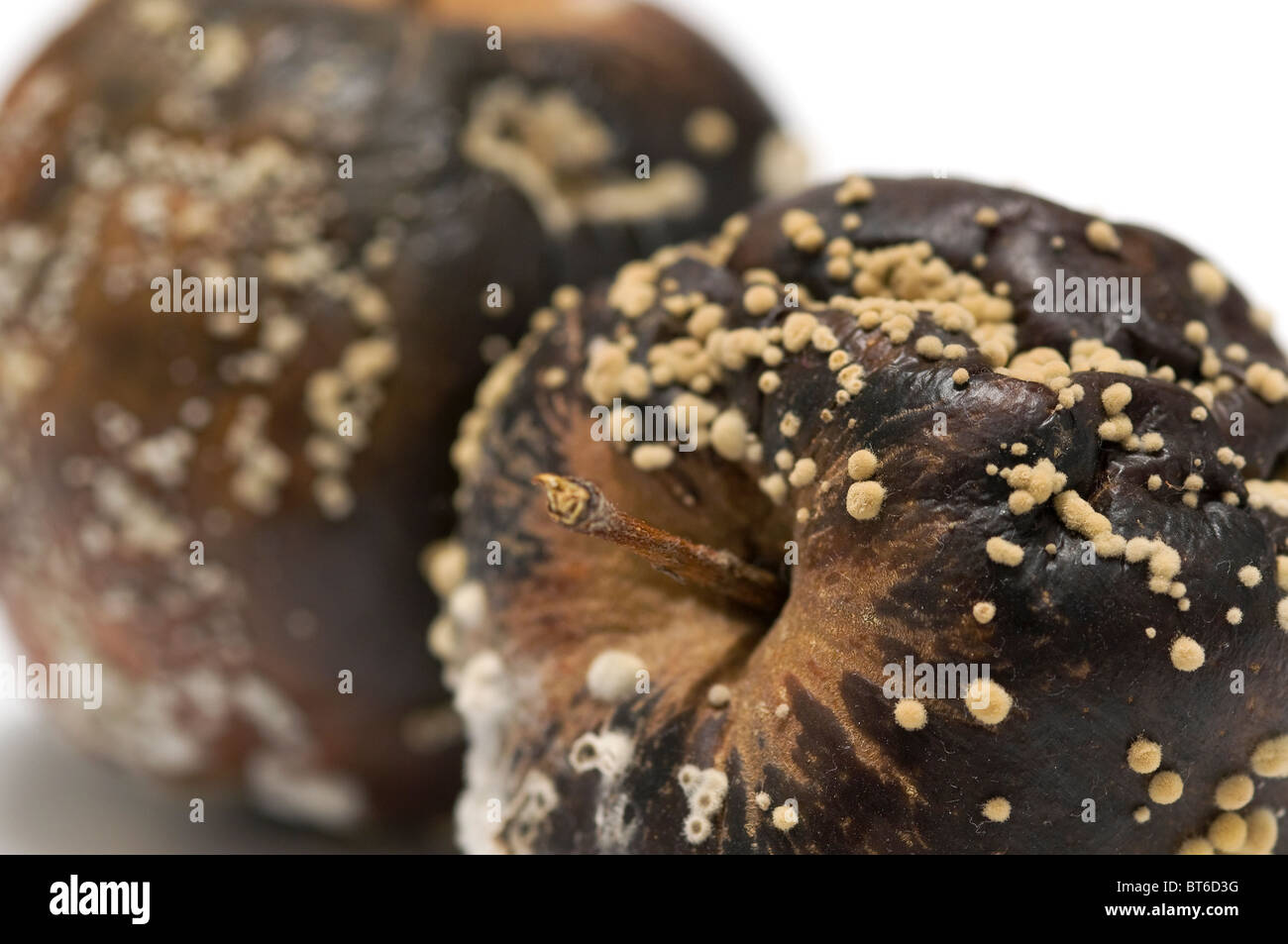 mele marce Foto Stock