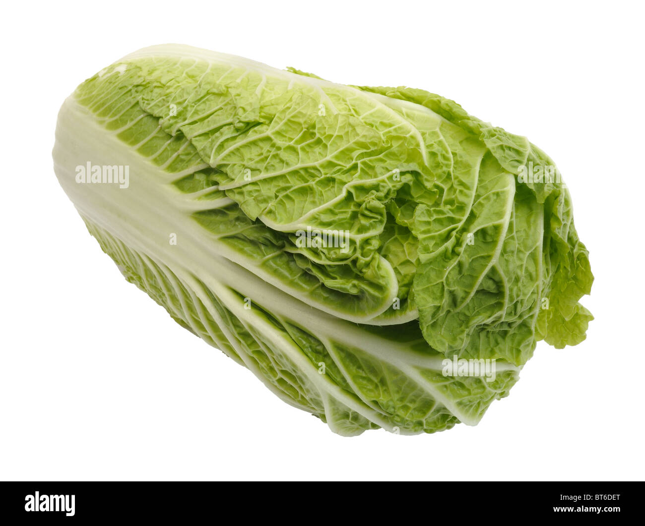 Cavolo di Pechino, isolato Foto Stock