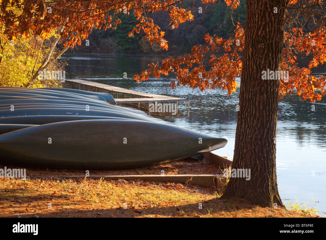 In canoa lungo il lago Specchio, specchio del lago del Parco Statale, Wisconsin Foto Stock