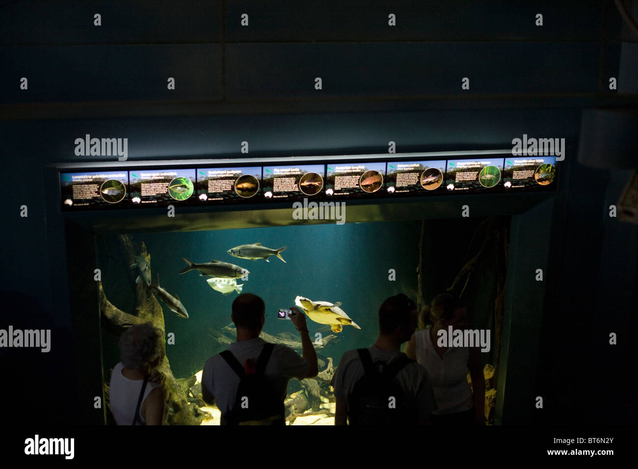 Aquarium di Sydney , Australia Foto Stock