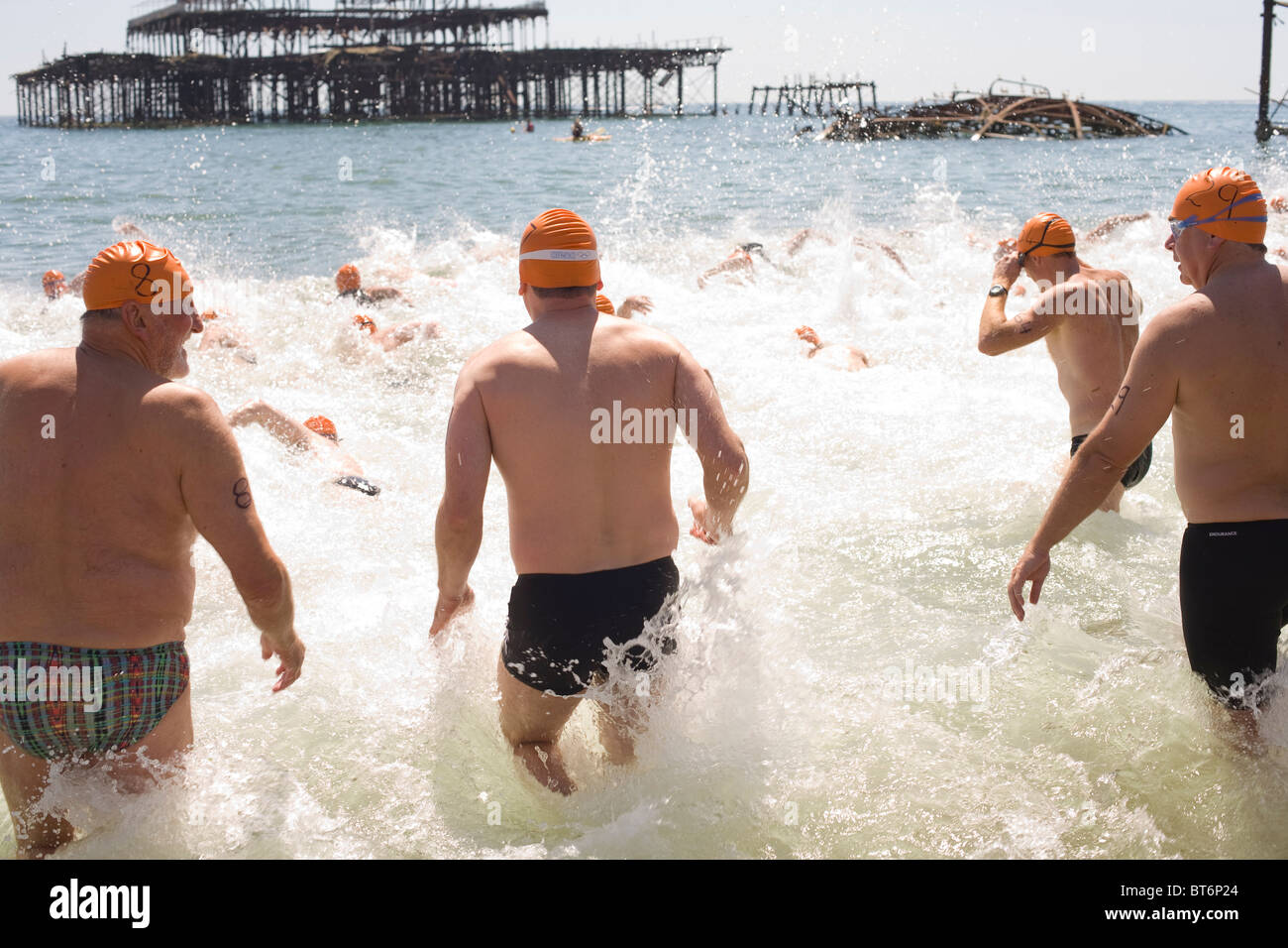Nuoto in mare la concorrenza ,Brighton Foto Stock