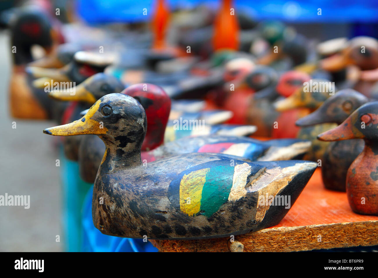 Duck decoy disposizione riga colorata dipinta a mano per cacciatori Foto Stock