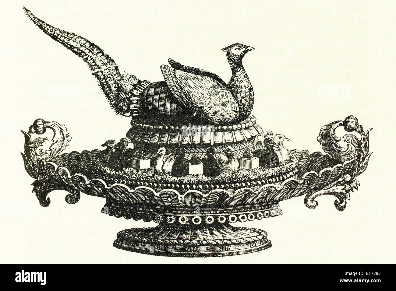 Il fagiano cotto in un vassoio. Presentazione accattivante. Illustrazione di antiquariato. 1892 Foto Stock