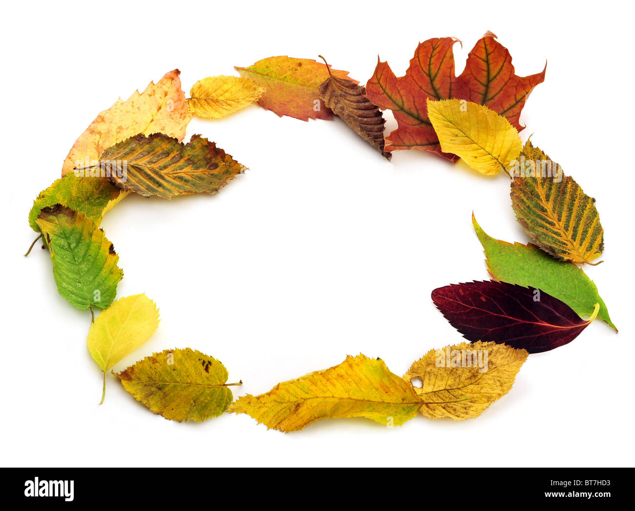 Bordo d'autunno Foto Stock