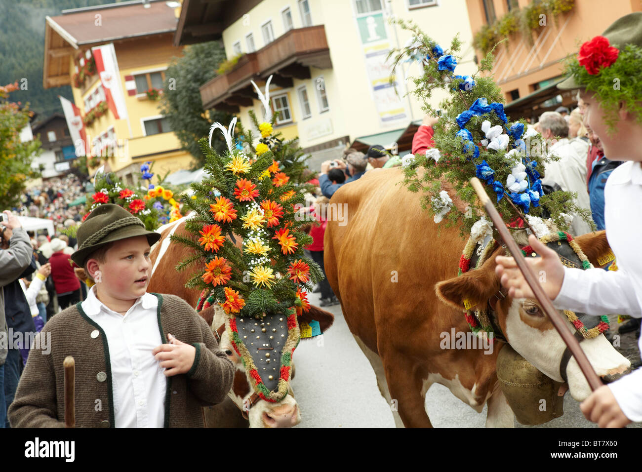 Almabtrieb festival di vacca, Austria Foto Stock