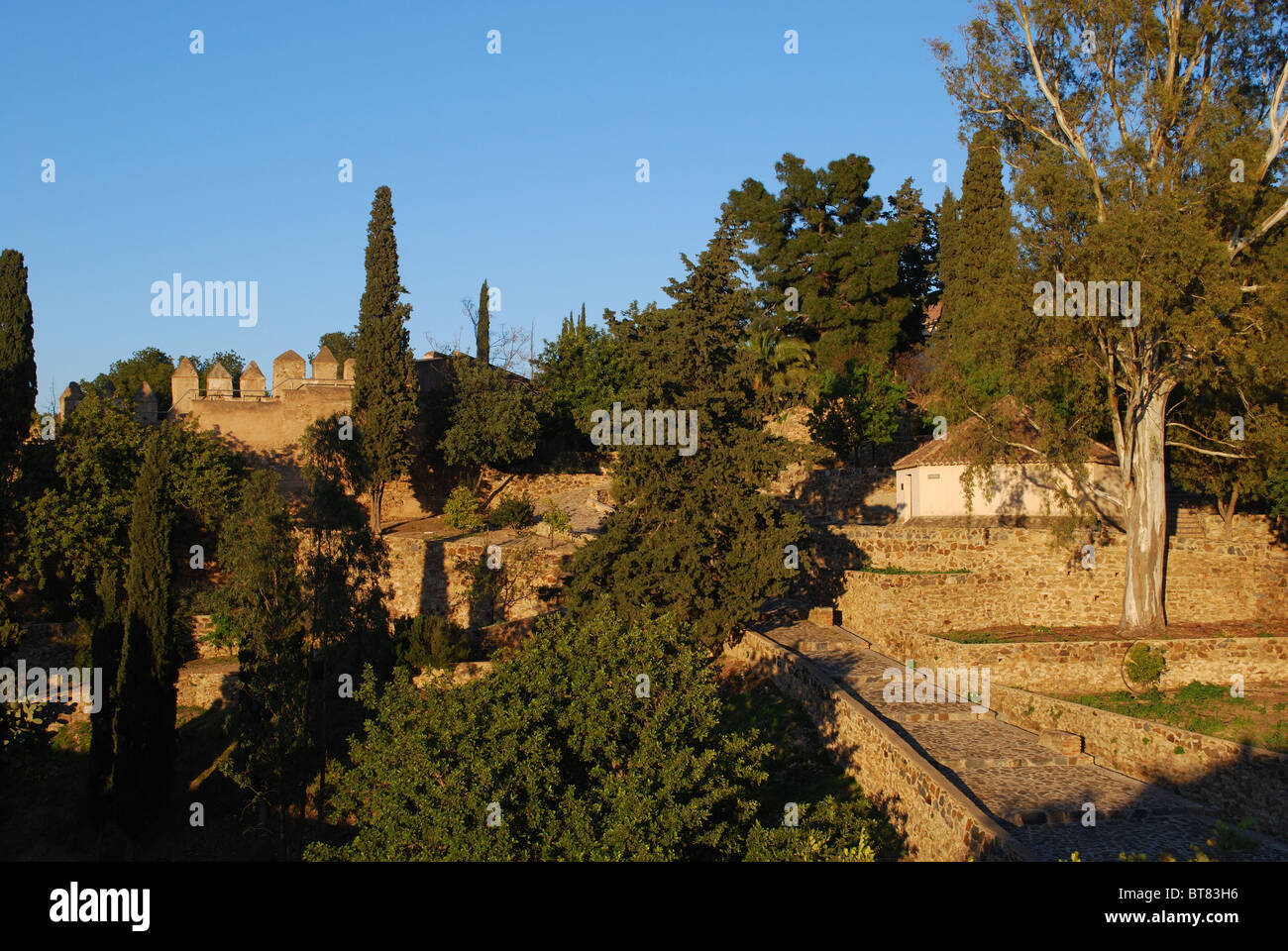 Merli del castello e giardini, castello di Gibralfaro, Malaga, Costa del Sol, provincia di Malaga, Andalusia, Spagna, Europa occidentale. Foto Stock