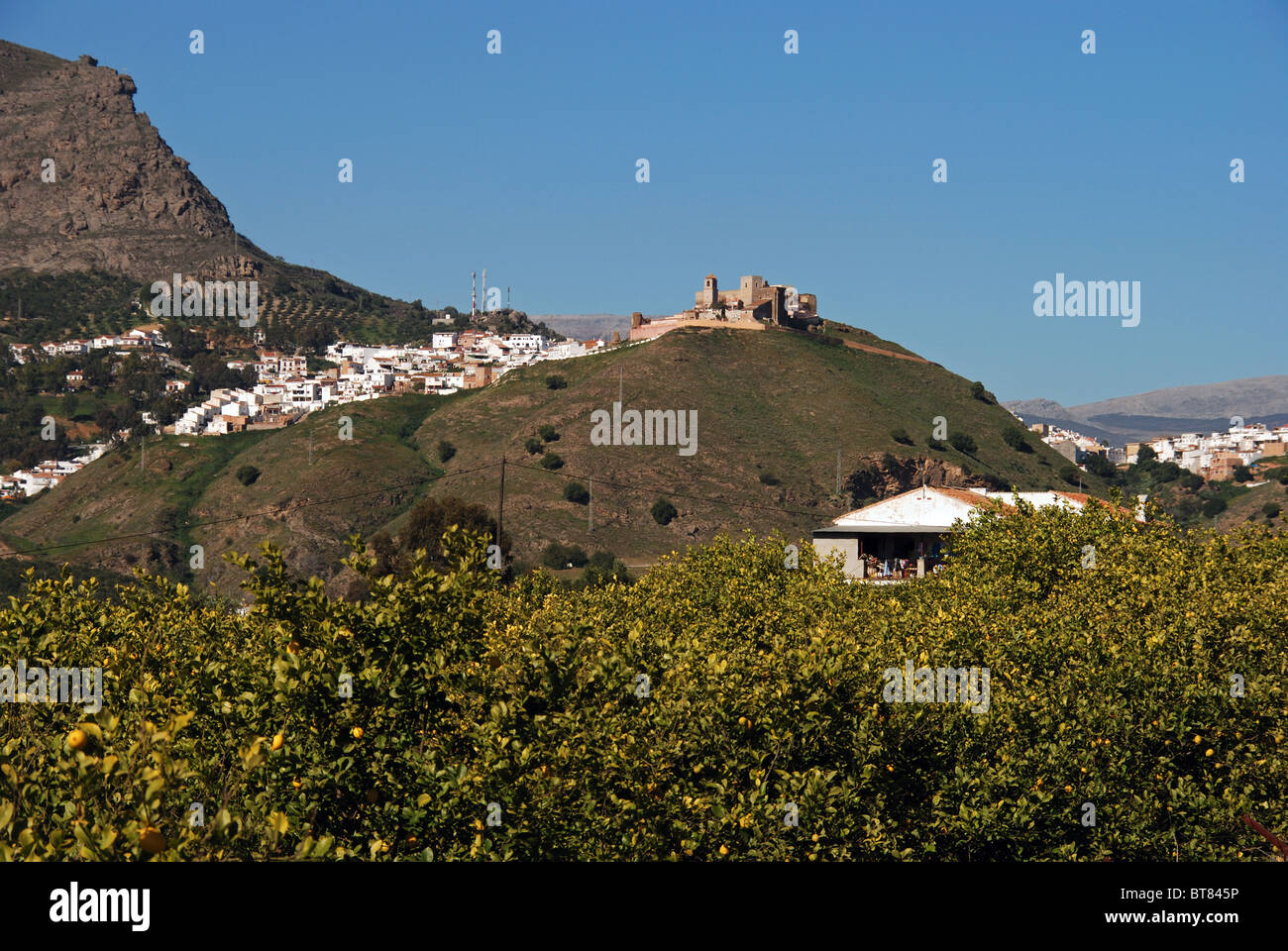 Città e del castello con alberi di limone in primo piano, Alora, provincia di Malaga, Andalusia, Spagna, Europa occidentale. Foto Stock