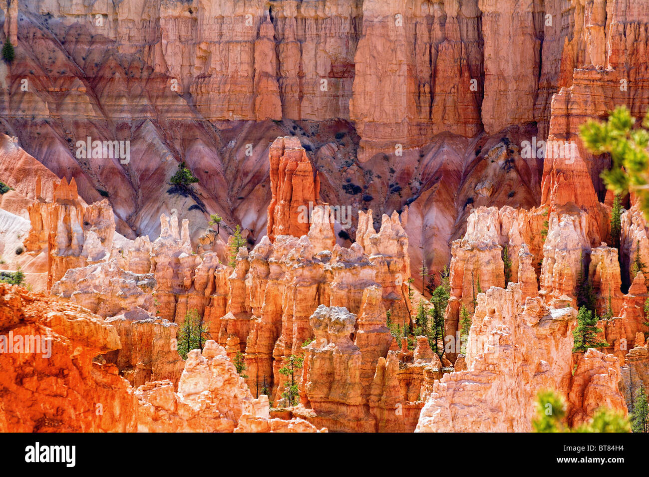 Le formazioni rocciose all'interno di Bryce Canyon dello Utah Foto Stock