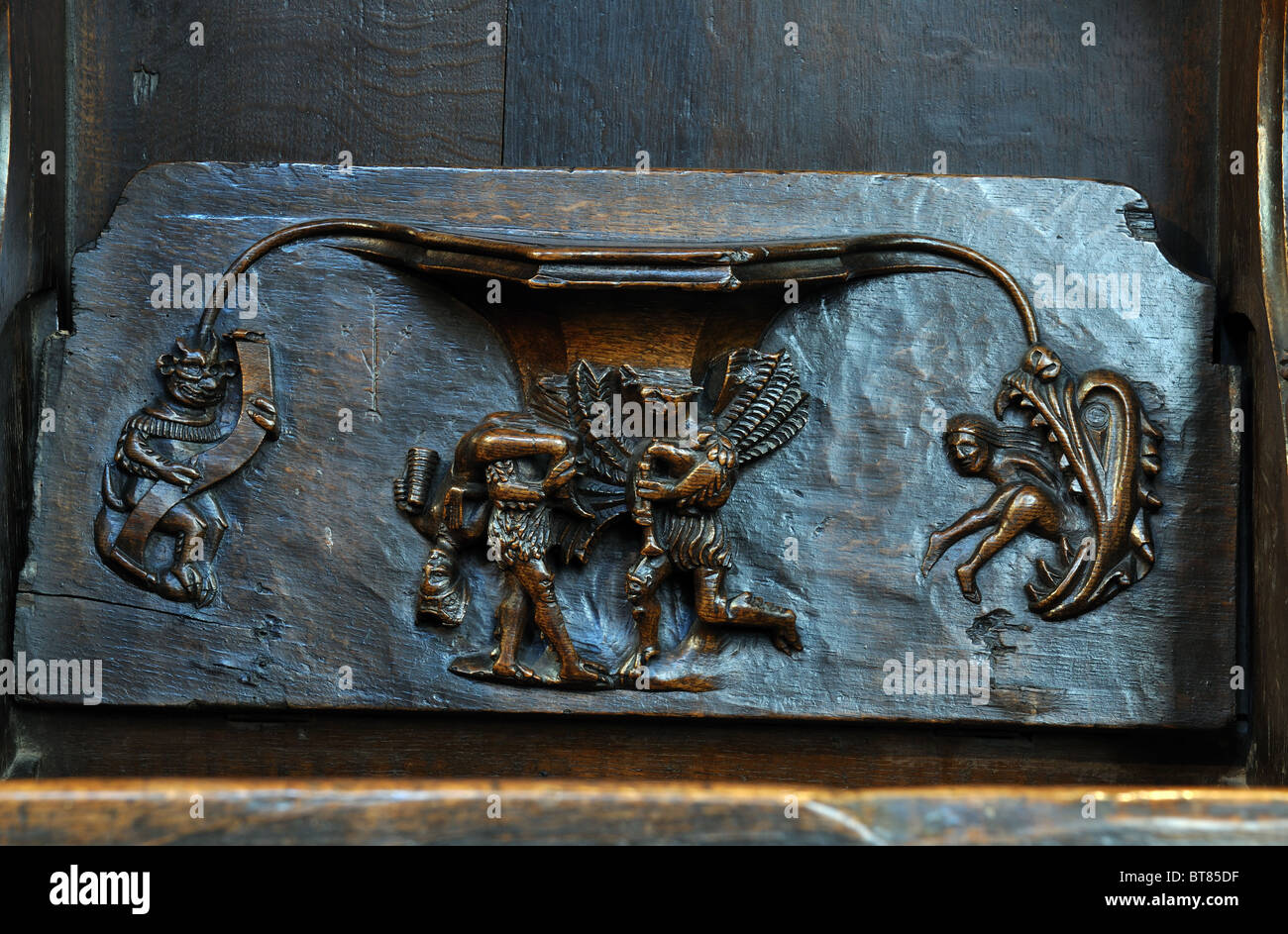 Misericord in San Lorenzo è la Chiesa, Ludlow, Shropshire, Inghilterra, Regno Unito Foto Stock