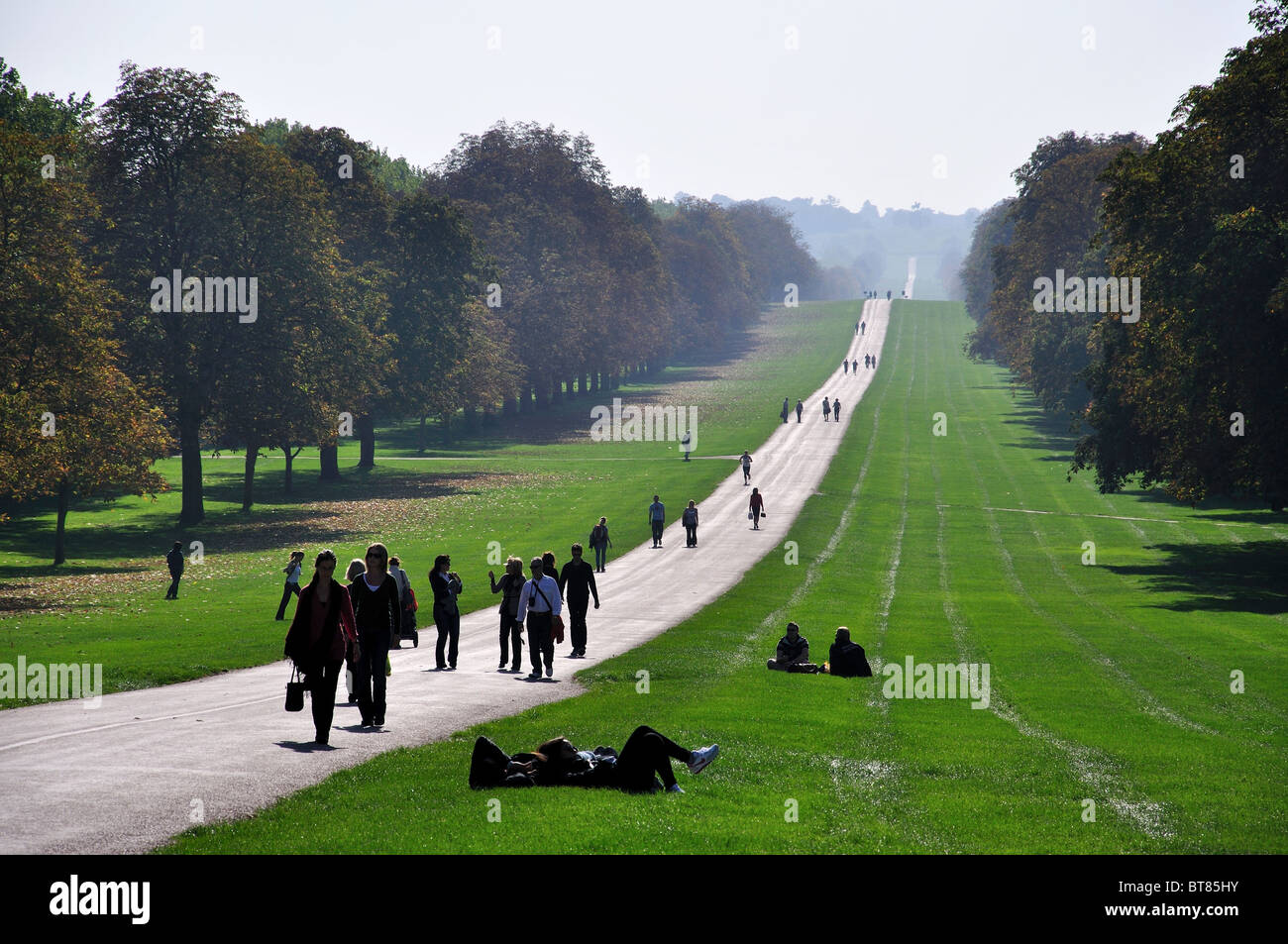 La lunga passeggiata in autunno, Windsor Great Park, Windsor, Berkshire, Inghilterra, Regno Unito Foto Stock