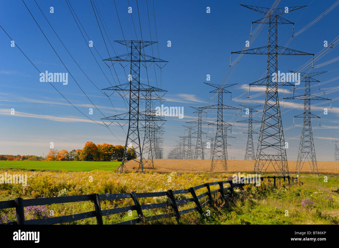 Idro linea elettrica di alimentazione alle torri pickering centrale nucleare che corre attraverso i campi agricoli di Ontario Foto Stock