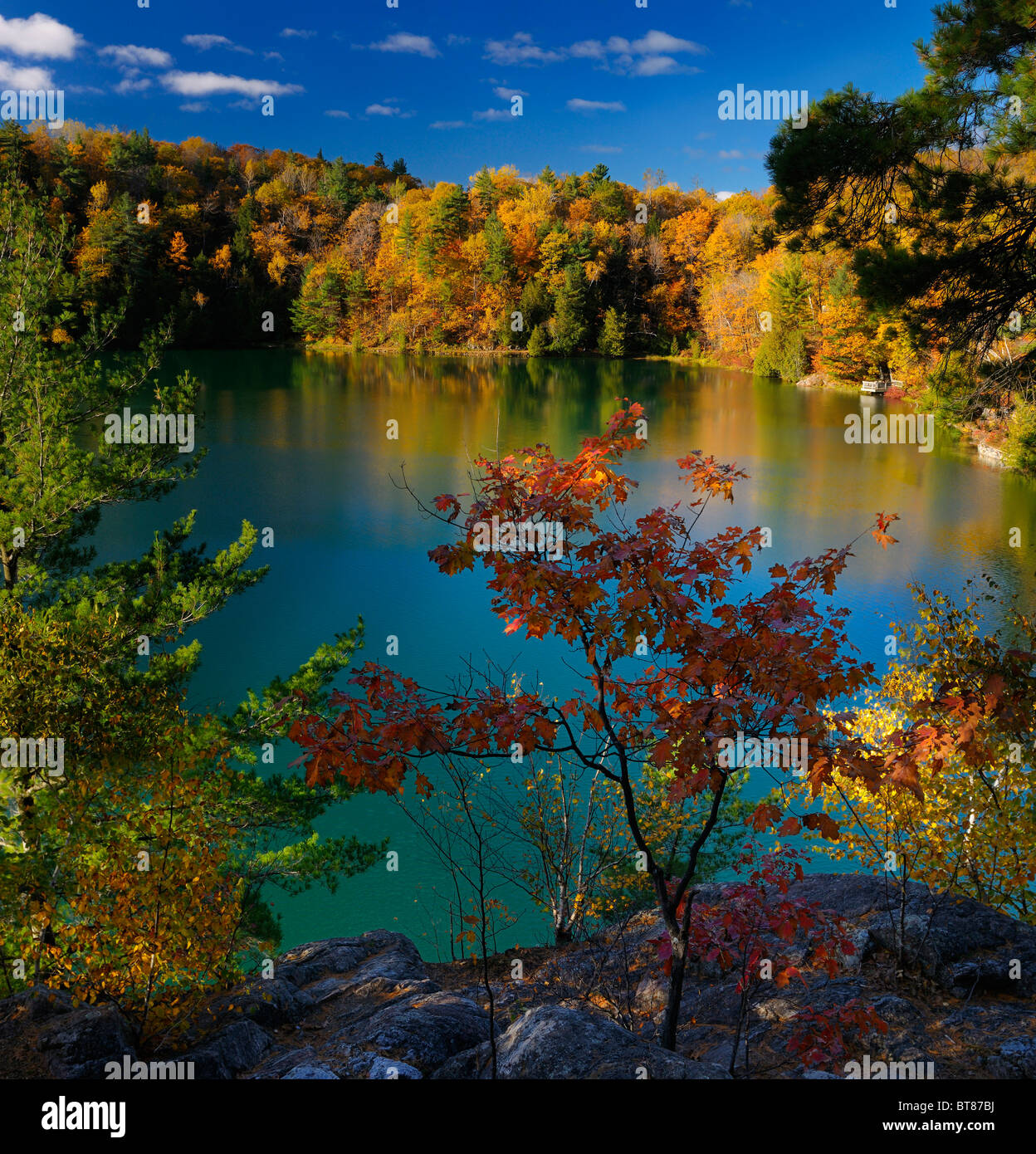Colorate Foglie di autunno contro l'aqua blu del lago rosa gatineau park Québec Canada Foto Stock