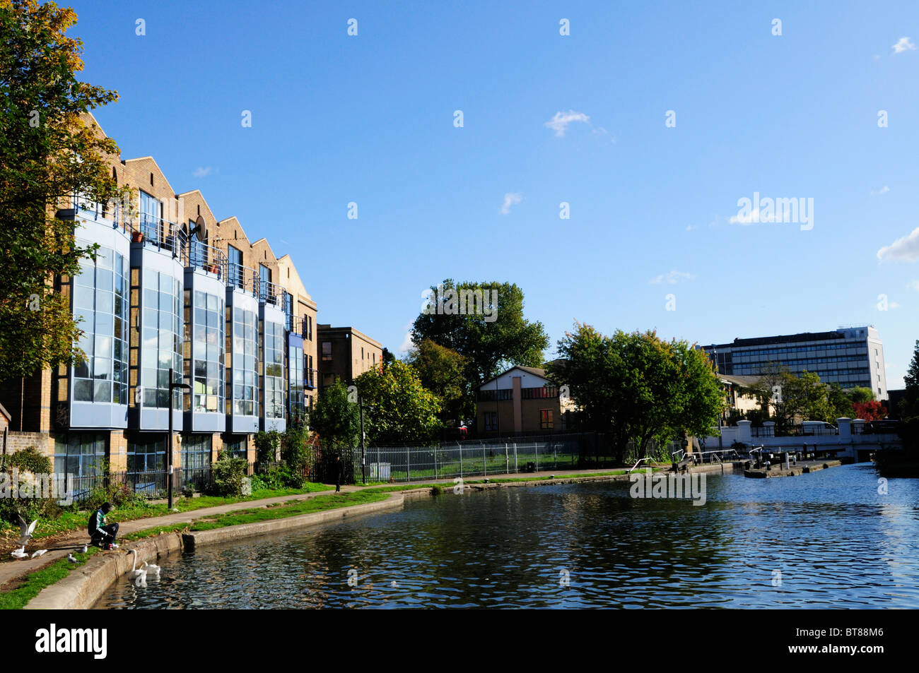 Un uomo cigni alimentazione a Camden Lock, London, England, Regno Unito Foto Stock