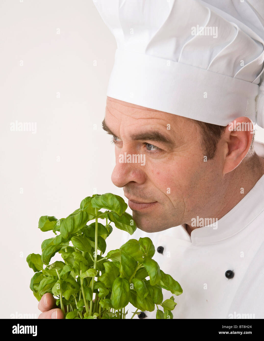 Cuocere annusare le foglie di basilico Foto stock - Alamy