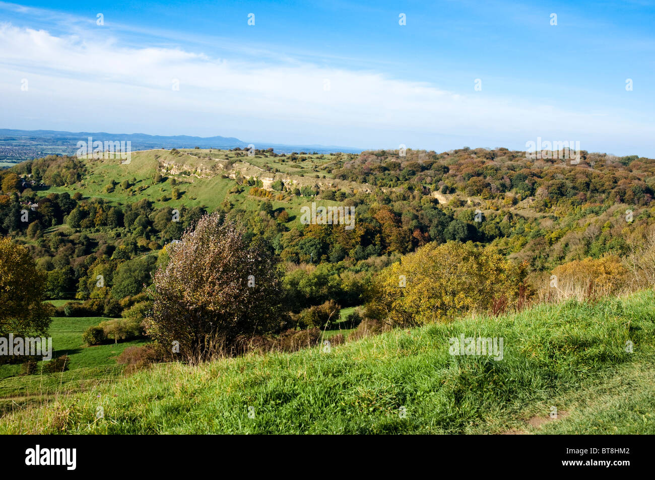 Crickley Hill, il Cotswold scarpata e il bosco Scrubbs, Cotswolds, Gloucestershire, Inghilterra, Regno Unito. Foto Stock