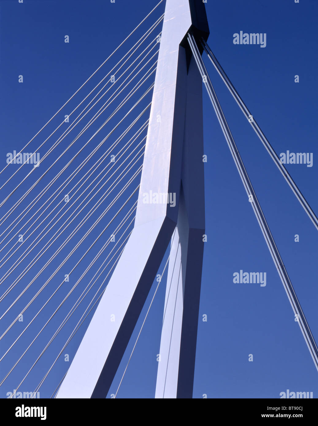 Il ponte di Erasmus colmare il fiume Mosa, Rotterdam, Paesi Bassi Foto Stock