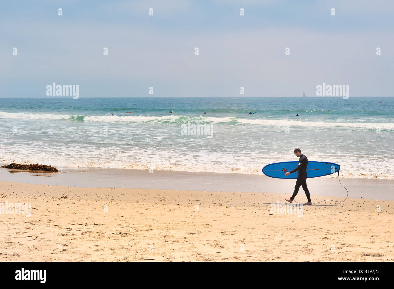 Surf USA : Maschio surfer vista profilo passeggiate sulla spiaggia di Venice, Los Angeles, California, indossa una muta blu che trasportano le tavole da surf Foto Stock