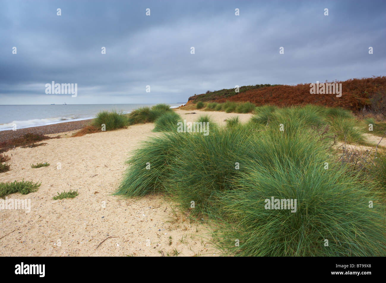 Benacre sulla costa di Suffolk Foto Stock