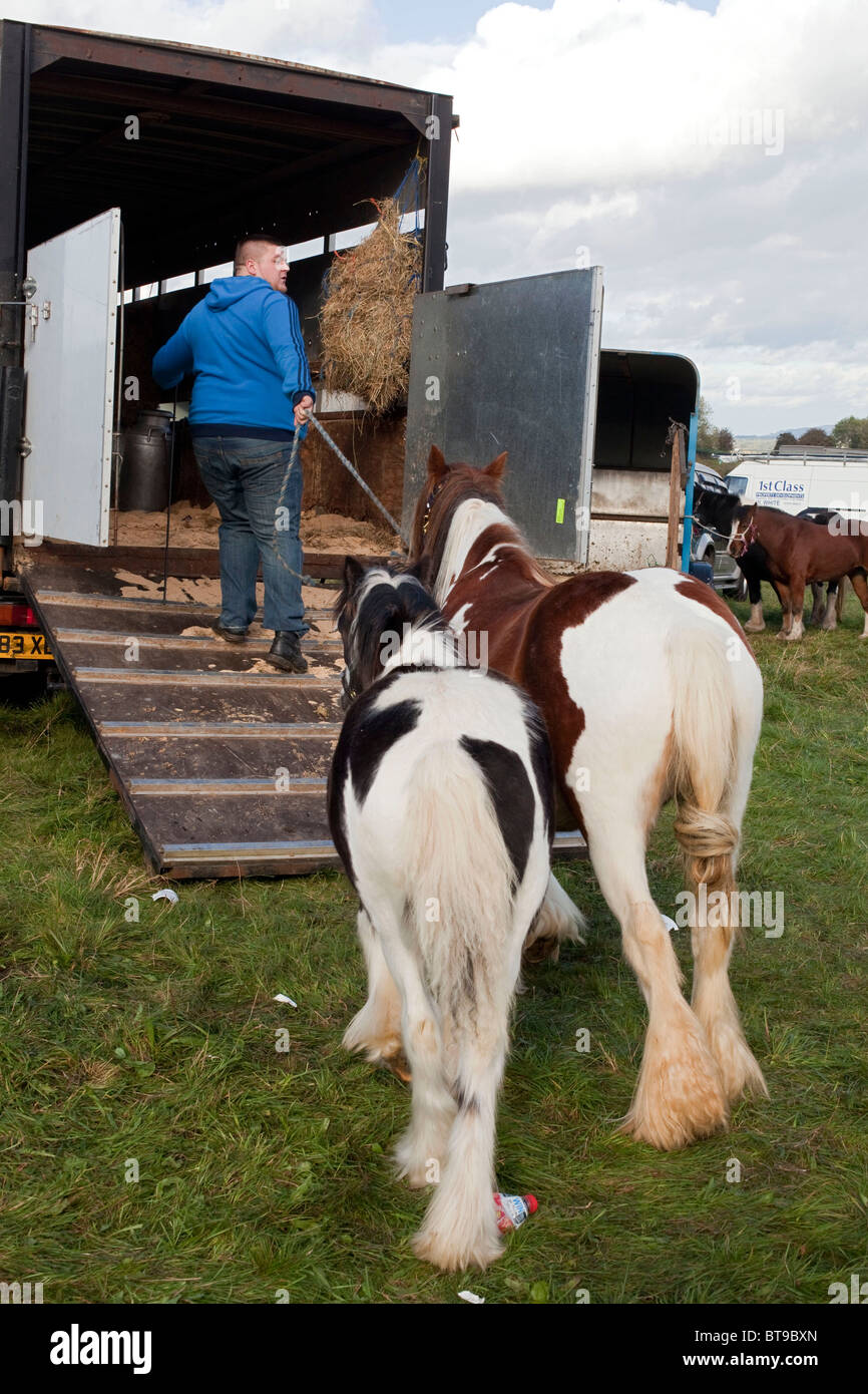 Allevatore di cavalli Abramo Rogers con uno dei suoi di colore rosso e bianco mare cob cavalli e puledro a Stow Fiera Cavalli. DAVID MANSELL Foto Stock
